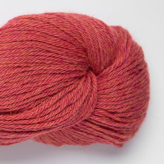 4103 Raspberry