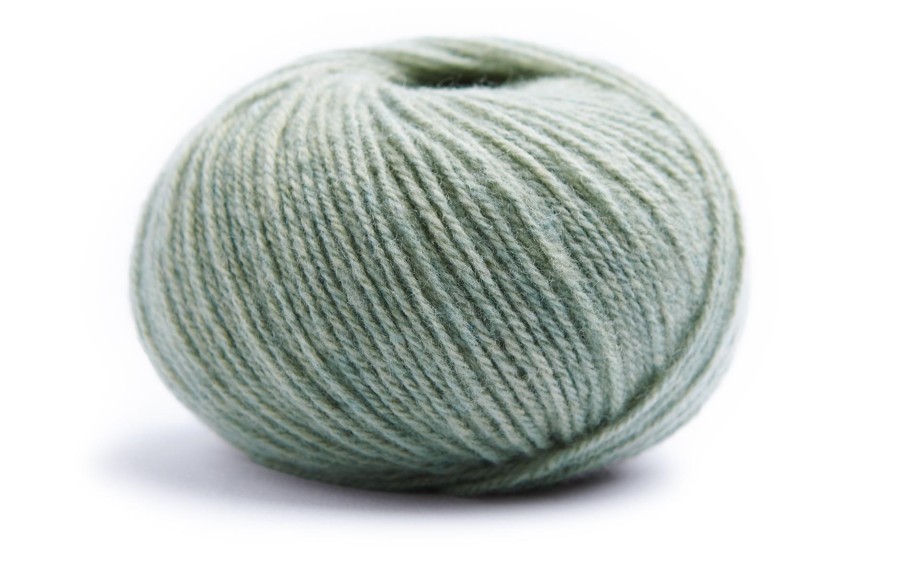 Salbei 64 M